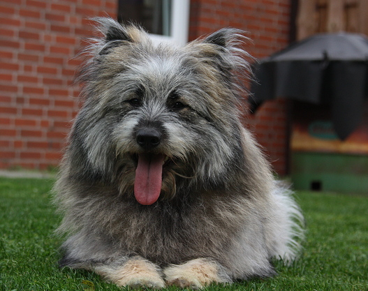 Aktuelles