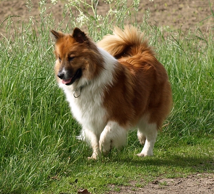 TaruTheo 1Jahr