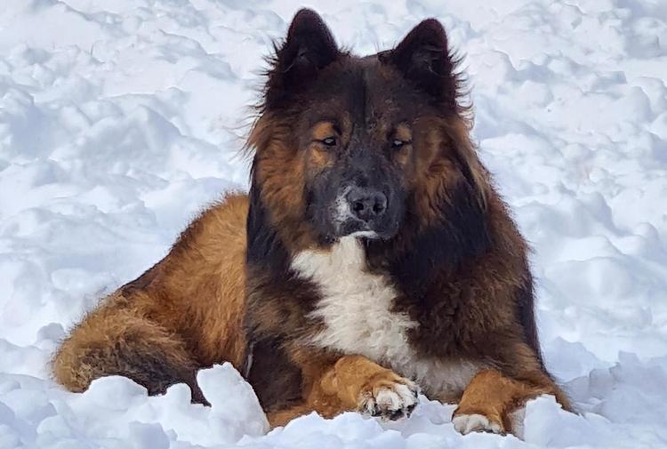 Tonka1Jahr