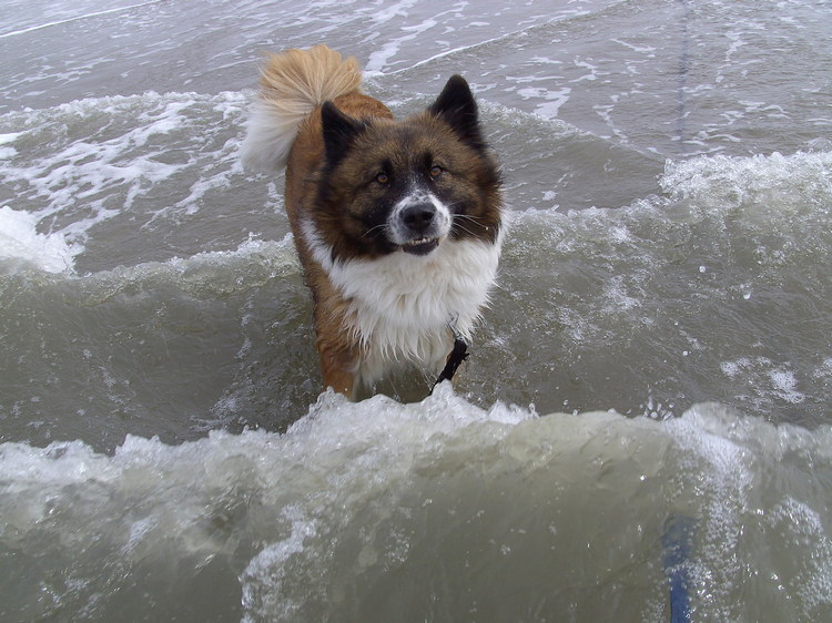 AlinaSt.Peter Ording